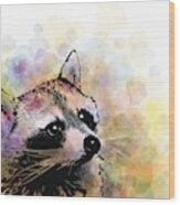 Raccoon 23 Wood Print