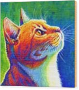 Anticipation - Psychedelic Rainbow Tabby Cat Wood Print