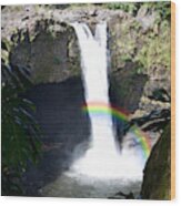 Rainbow Falls 2 Hilo Hi Wood Print