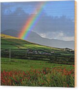 Rainbow In Kerry Wood Print