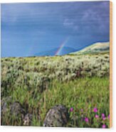 Rainbow Over Tom Miner Basin Wood Print