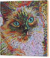 Rainbow Ragdoll Cat Wood Print