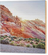 Rainbow Rocks At Valley Of Fire Wood Print