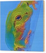 Rainbow Tree Frog Wood Print