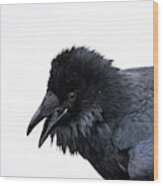 Raven 3 Wood Print