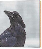 Raven In Snow Wood Print