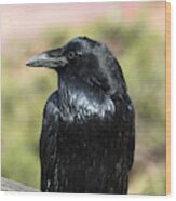 Raven Profile Wood Print