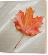 Red And Orange Maple Leaf Wood Print