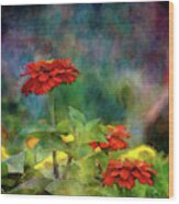 Red And Orange Zinnias 1297 Idp_2 Wood Print