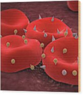 Red Blood Cells With Antigens. Wood Print