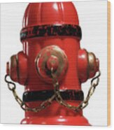 Red Fire Hydrant Wood Print