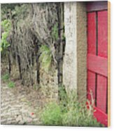 Red Garden Door Wood Print