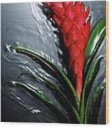 Red Ginger Flower Alpinia Purpurata On Wood Print