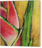 Red Heliconia Wood Print