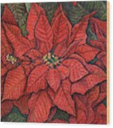 Red Poinsettia Wood Print