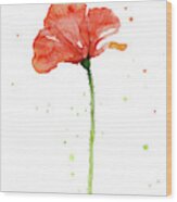 Red Poppy Flower Wood Print