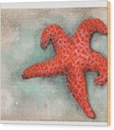 Red Sea Star Wood Print