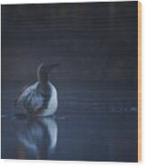 Red-throated Diver At The Break Of Dawn Wood Print