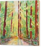 Redwoods And Sunshine Wood Print