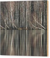 Reflected Woods Wood Print