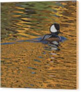 Reflecting With Hooded Merganser Wood Print