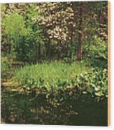 Reflection Of Trees In A River, Merced Wood Print