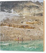 Reflections In Glacial Lake Along Iceline Trail In Yoho National Park Wood Print