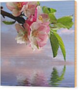Reflections Of Spring At Apple Blossom Time Wood Print