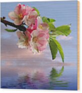 Reflections Of Spring At Apple Blossom Time - Square Wood Print
