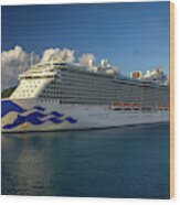 Regal Princess Cruise Ship Wood Print