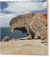 Remarkable Rocks Wood Print