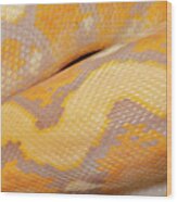 Reticulated Python Lavender Morph Scale Wood Print