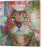 Rex The Patchwork Quilted Tabby Cat Wood Print