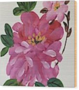 Rhododendron Wood Print