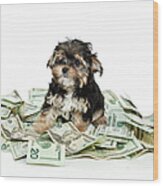 Rich Puppy Wood Print