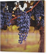 Ripe Grapes Wood Print