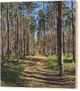 Road Through The Mazovian Woods Wood Print