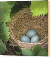 Robin Egg Blues Wood Print