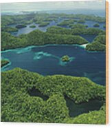 Rock Islands & Jellyfish Lake, Palau Wood Print