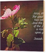 Rock Rose Lighted And Scripture Wood Print