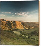 Rolling Hills In The Salinas Valley Wood Print