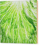 Romaine Lettuce Leaf Detail Wood Print