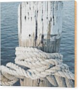 Rope On Pole I Wood Print