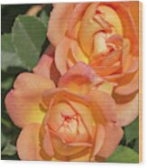 Rosa Lady Of Shalott Wood Print