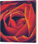 Rose Wood Print
