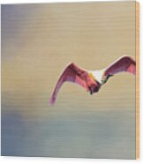 Roseate Spoonbill At Sunrise Wood Print