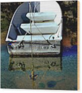 Row Boat And Minnows Wood Print