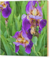 Royal Purple Irise Wood Print