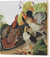 Ruffed Grouse, Tetrao Umbellus By Audubon Wood Print