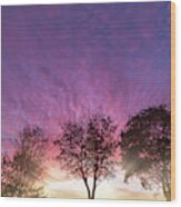 Rural Purple Sunset Over Winter Trees Wood Print